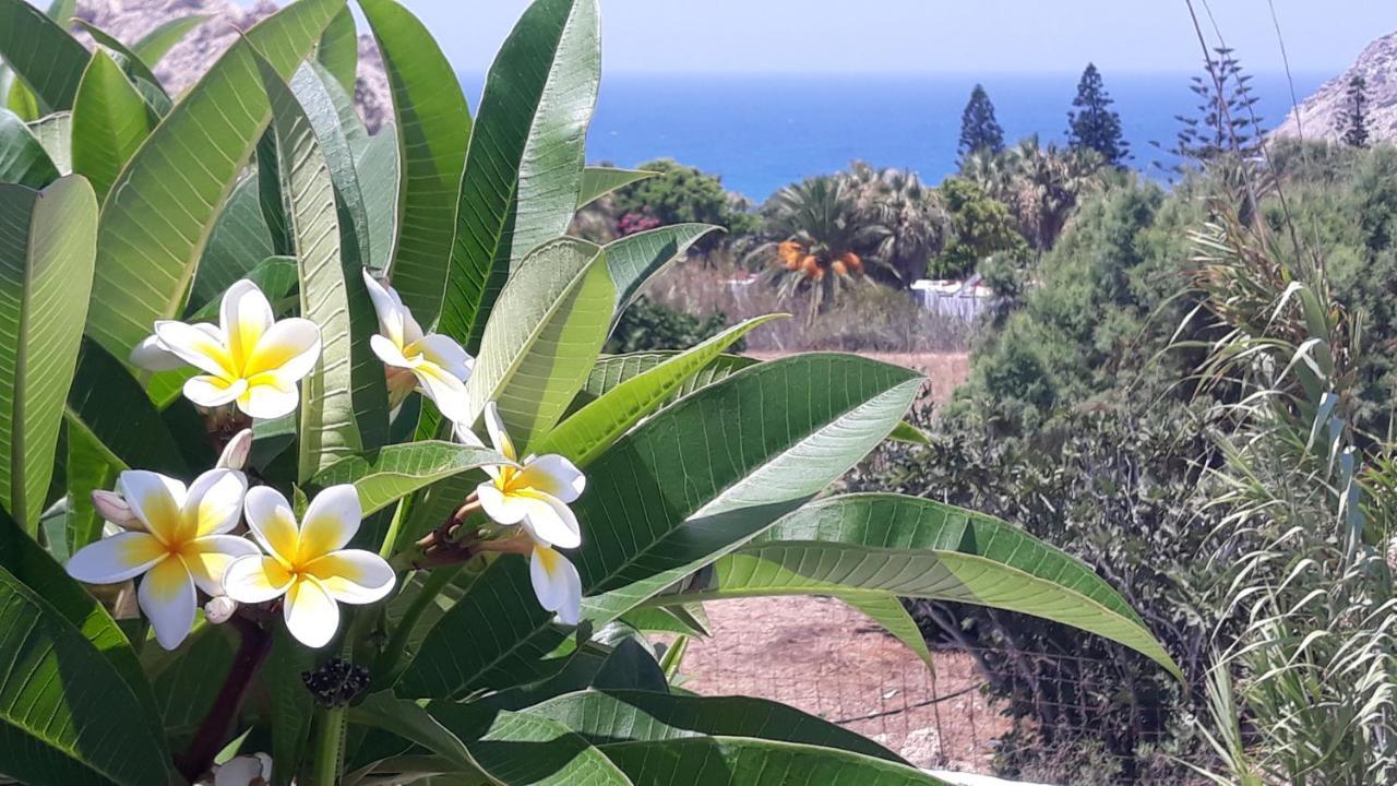 Sunset Suites 'Annada Arkasa Buitenkant foto