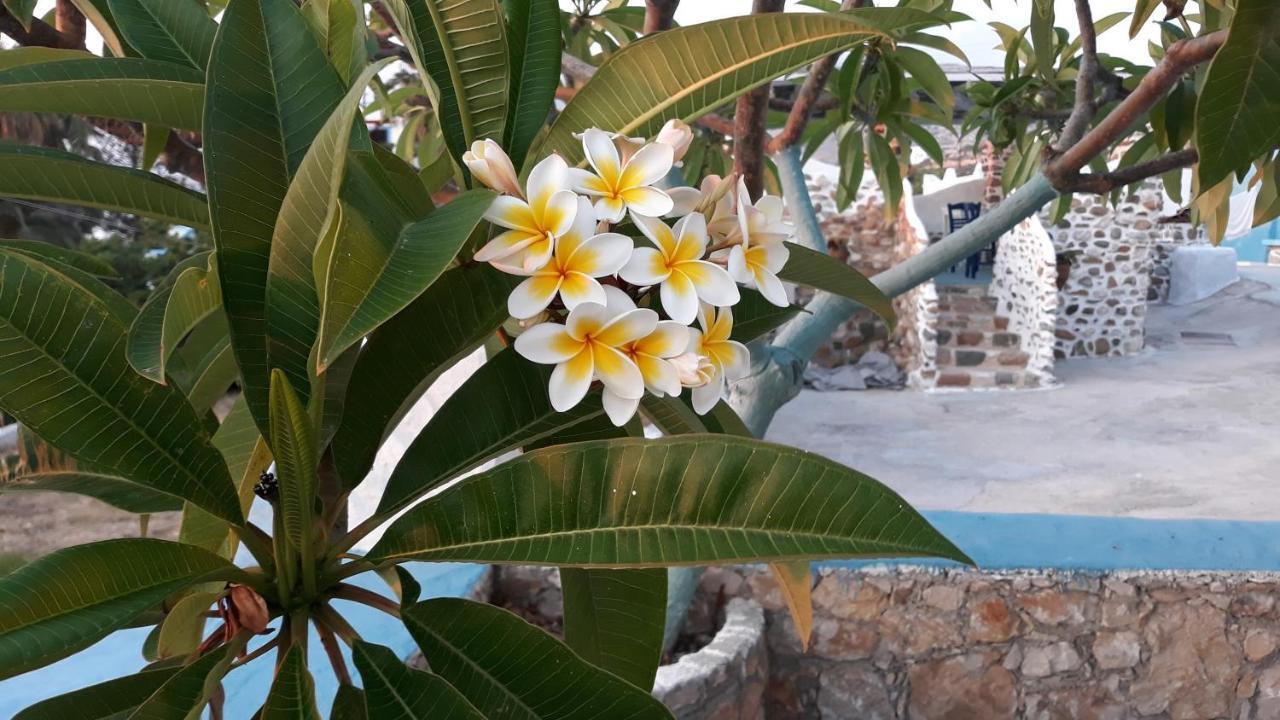 Sunset Suites 'Annada Arkasa Buitenkant foto